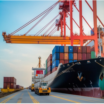 FCL LCL Cargo Shipping Service International Sea Freight From China to Malaysia
