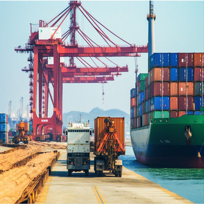 Logistics International Sea Freight Services From China To Singapore
