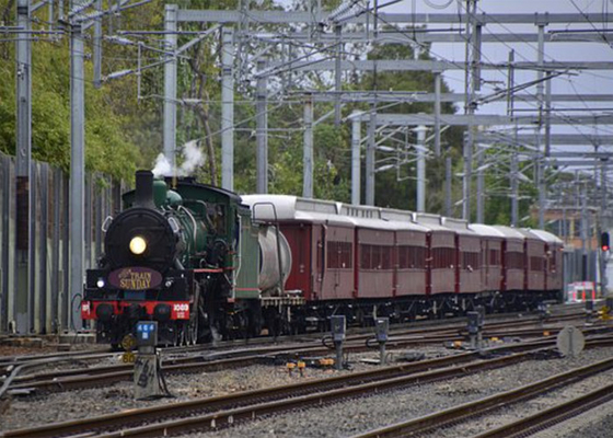 Daily Railway Freight Forwarder , Rail Freight Shipping 7x24 Hours Service